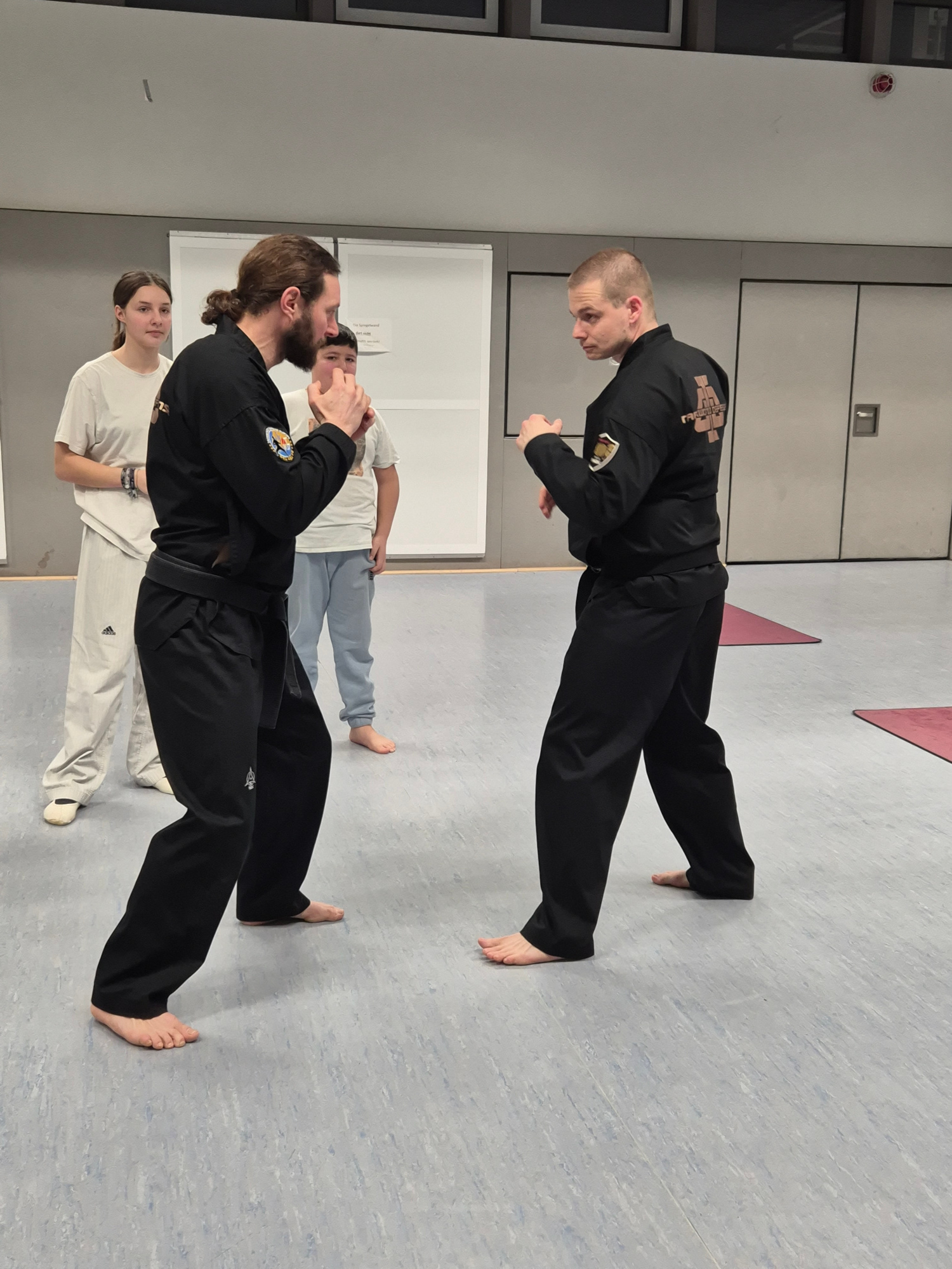 Andi und René sind von der World Taekwondo Defense Federation anerkannte Taekwondo Defense Meister und Instructor C unter Großmeister Eunseob Kim